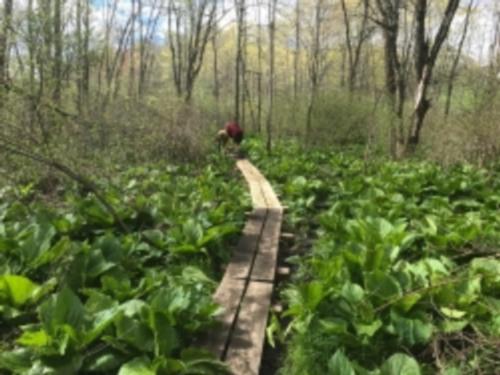Teawaddle Hill Farm Work Day, May 2017