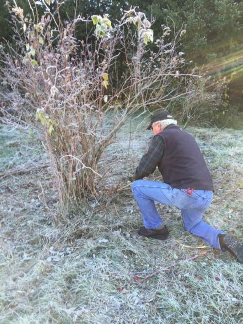 expert pruning