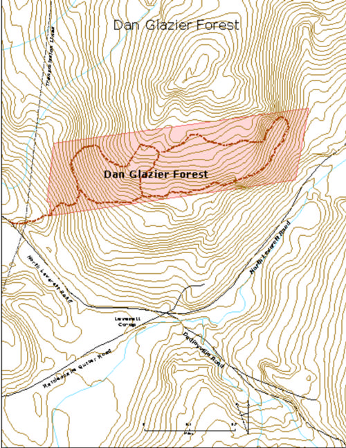 Dan Glazier Forest contour 2015