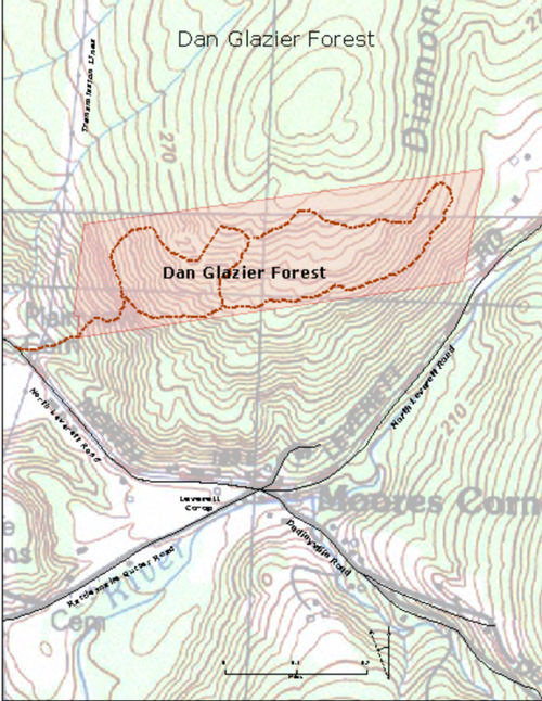 Dan Glazier Forest topo 2015