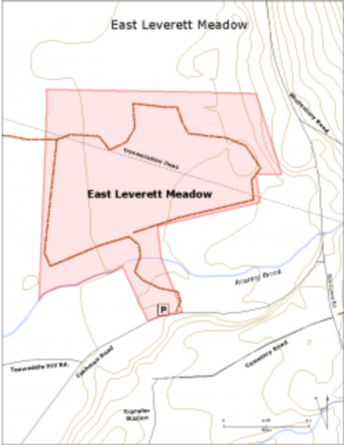 East Leverett Meadow countour 2015