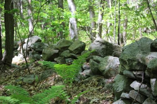Stone Wall Mosher north line