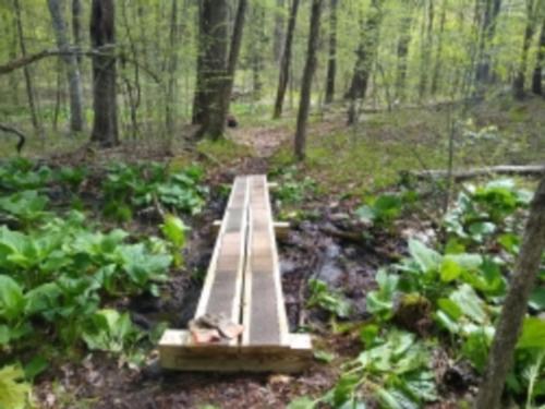 Ed Field Trail repairs
